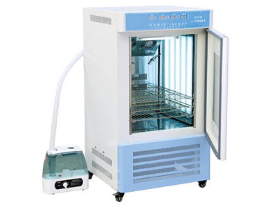 新疆人工气候培养箱RGX系列