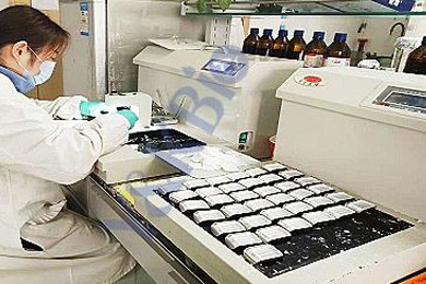 新疆石蜡包埋服务