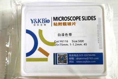 新疆粘附载玻片