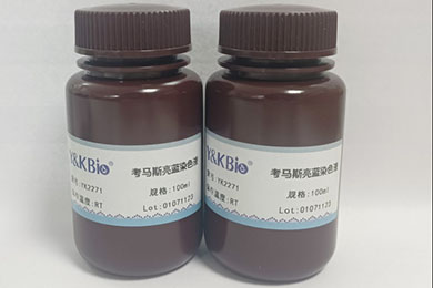 新疆考马斯亮蓝脱色液