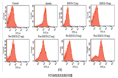 新疆流式ROS检测