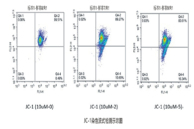 新疆流式-JC-1