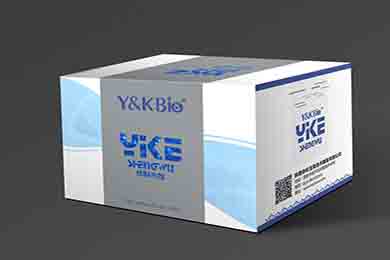 新疆RIPA裂解液（强）