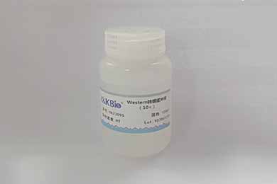 新疆10×Western转膜缓冲液