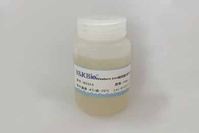 新疆Western blot封闭液(含BSA)