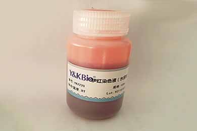 新疆伊红染液（水溶性）