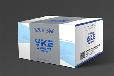 新疆Masson-Fontana黑色素染色试剂盒