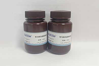 新疆考马斯亮蓝染色液