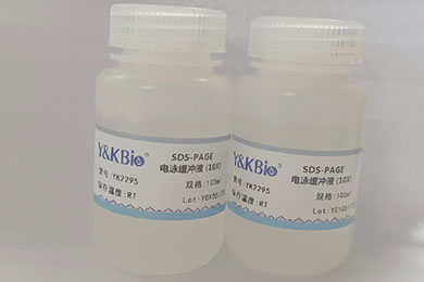 新疆10×SDS-PAGE电泳缓冲液
