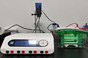 新疆WB实验流程